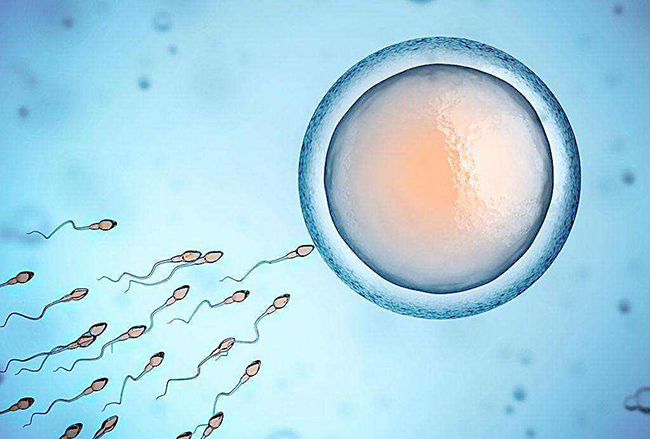 精子存活率多少正常 精子惜其珍贵能不能怀孕全靠它