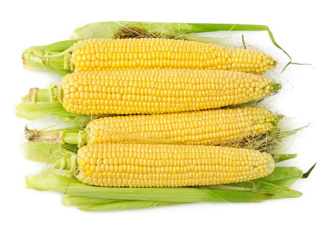 一周玉米减肥法 打开玉米正确吃法7天竟减十斤