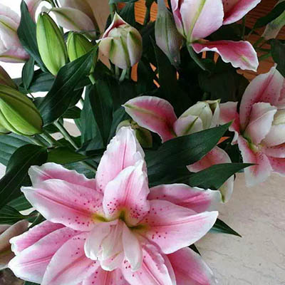 女人的眼泪还要“流对时候” 女人的眼泪还要“流对时候”