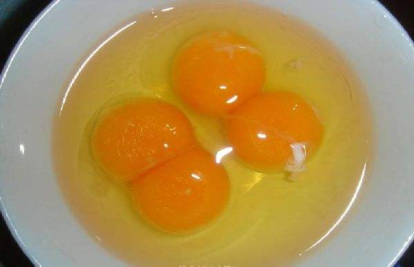 鸡蛋黄