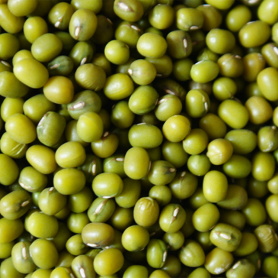 　绿豆性味甘寒、入心、胃经、具有清热解毒、消暑利尿之功效
