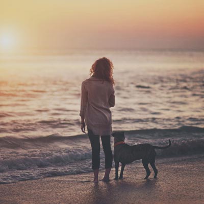 十大“忠犬”训练法则 十大“忠犬”训练法则