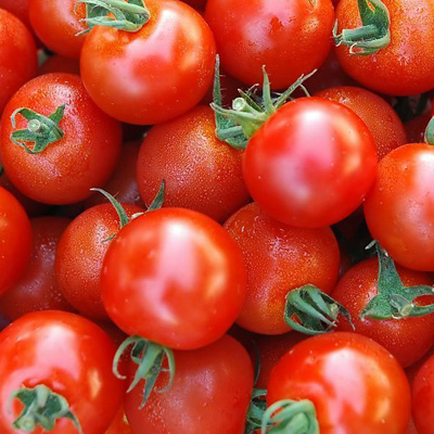 西红柿也是很好的防癌食物