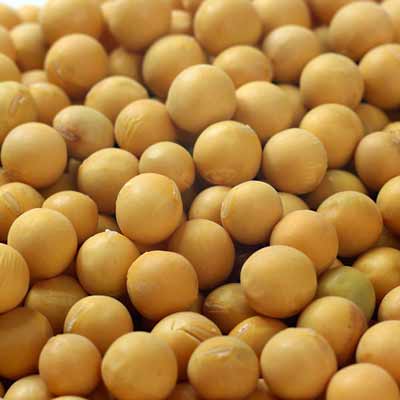 多吃黄豆，黄豆含有蛋白质和卵磷脂