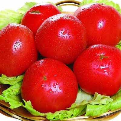 西红柿等富含番茄红素的食物