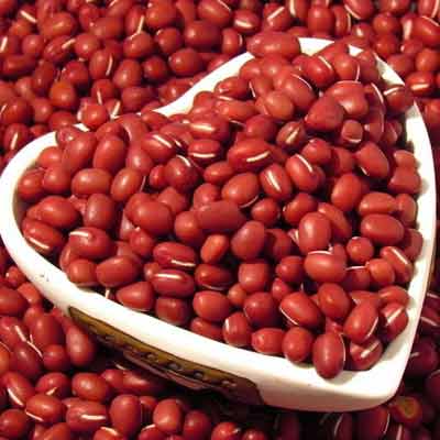 红豆有一个伟大的使命，那就是呵护我们女性