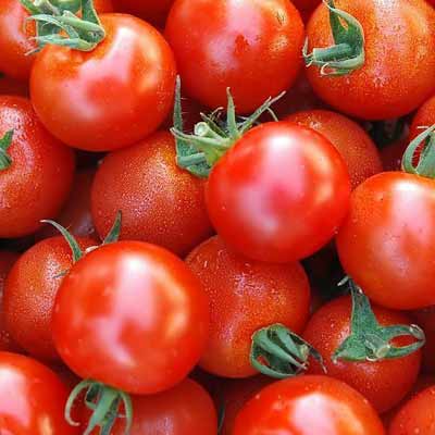 催熟的西红柿外观呈现多面体