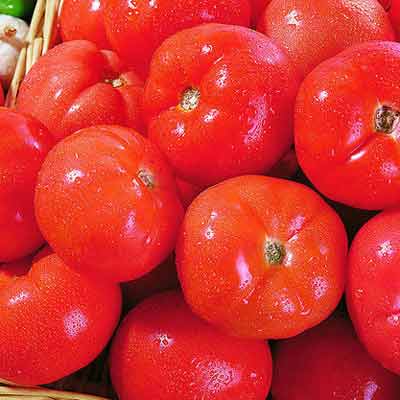 番茄具有止血、降压、利尿、健胃消食