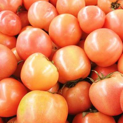 因西红柿不仅营养丰富，且具有较强的清热解毒