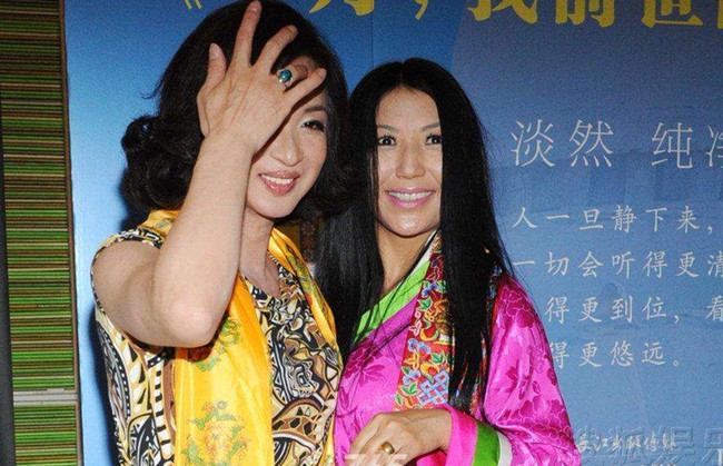 杨二车娜姆有多少男人 她与金星是闺蜜却惨遭丈夫出轨