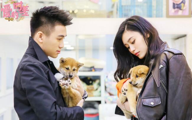 奚梦瑶何猷君天天向上 仅一句话证明何猷君喜欢奚梦瑶