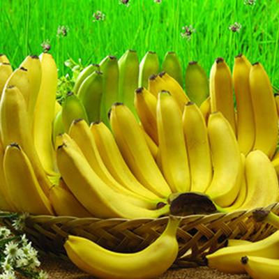 香蕉具有润肠通便的功效