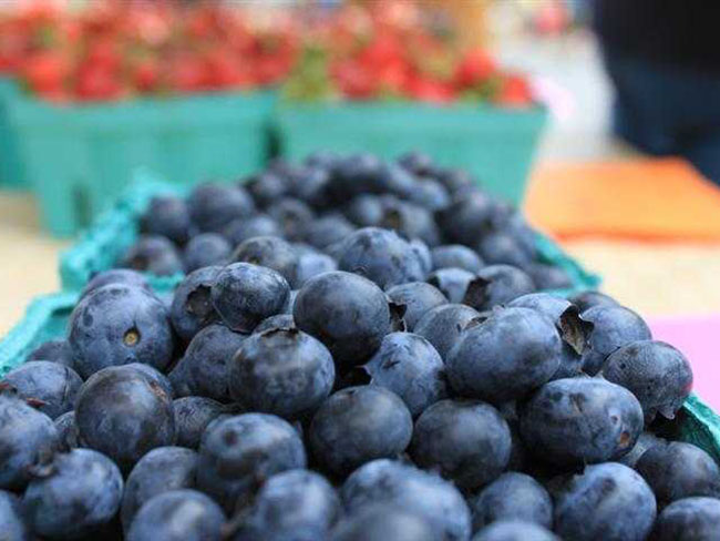 蓝莓的功效与作用 蓝莓要适量贪嘴腹泻又结石