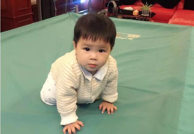 杨子晒小儿子正面照 小家伙胖胖的很可爱萌照曝光