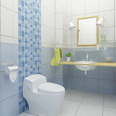 卫生间作为我们的一个私密空间是用来洁净的地方