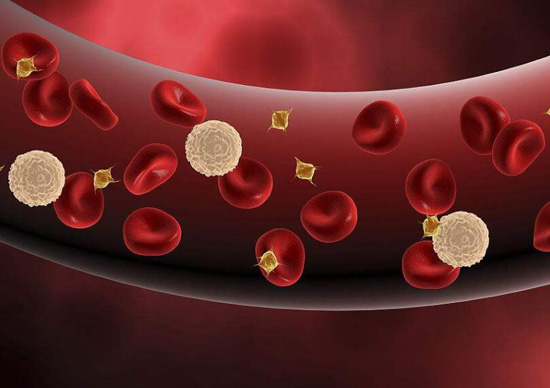 红细胞减少是什么病 红细胞低的原因及危害