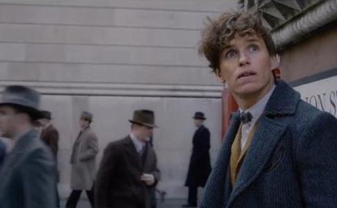 电影神奇动物在哪里2什么时候上映剧情怎么样好看吗