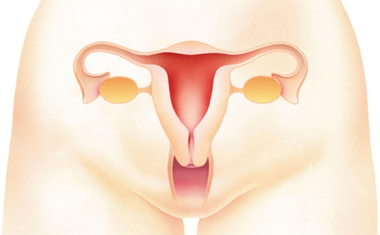 安以轩否认宫外孕 引起宫外孕的原因是什么 宫外孕有哪些症状