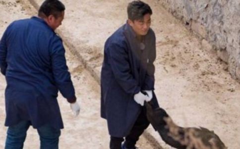 王宝强下乡抓猪是哪一档节目在哪一期播出 王宝强下乡抓猪是哪一档节目在哪一期播出