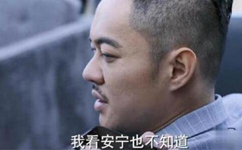 电视剧南方有乔木安宁为什么会输给南乔?剧情是怎样的