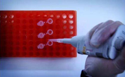 《罪案侦查揭秘》全集剧情