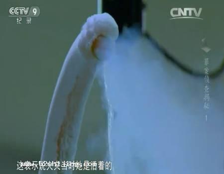 《罪案侦查揭秘》全集剧情