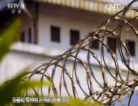 《罪案侦查揭秘》全集剧情