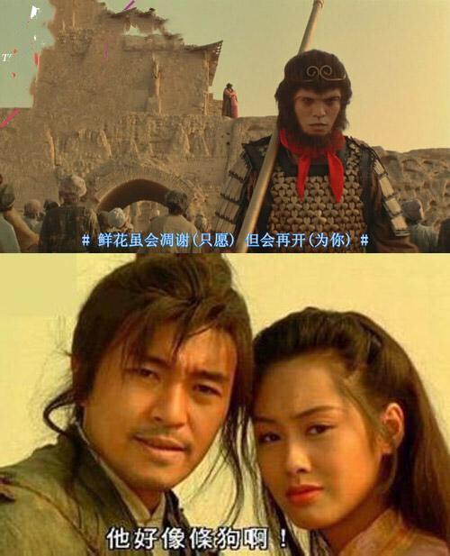 我们不爱薛宝钗 所以变成宋青书