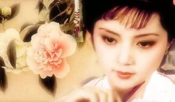 我们不爱薛宝钗 所以变成宋青书