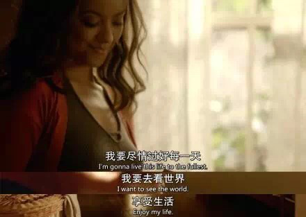 8年日记终于完结 神秘瀑布镇的故事到此结束