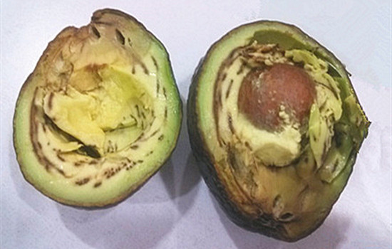 牛油果有黑丝还能吃吗 牛油果出现黑丝吃了或致中毒
