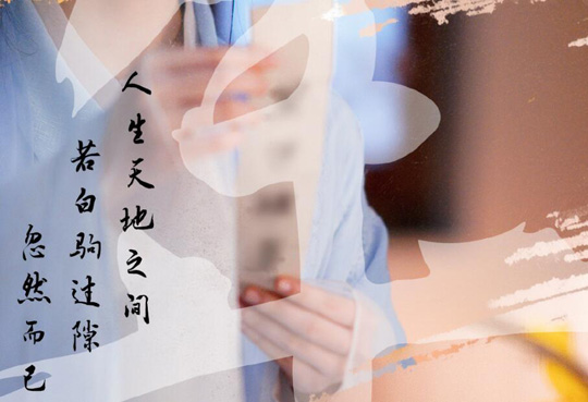 白发王妃讲的是什么内容 白发王妃结局是什么