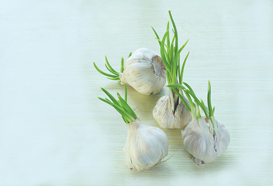 大蒜发芽能吃吗 大蒜的功效与作用是什么