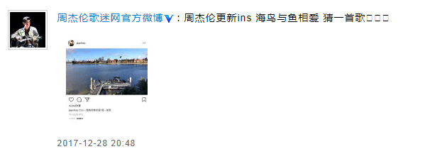 网友偶遇周杰伦带昆凌看海鸟