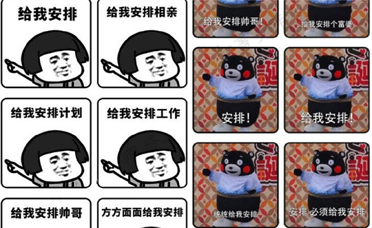 安排一下是什么梗 安排一下安排上了的出处和表情包