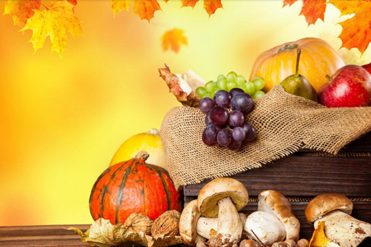 吃什么能让月经快点来 第一个你听都没听过