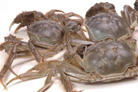 河蟹能生吃，河蟹需要蒸煮多久
