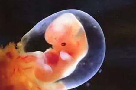 胚胎停育可能是装修惹的祸，悲伤之余记得找出真相