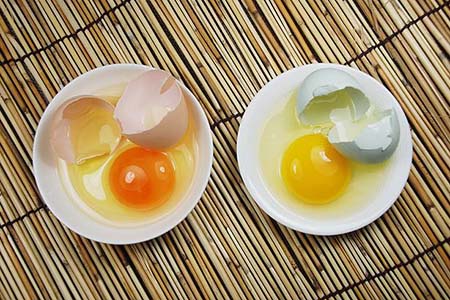 农村土鸡蛋更有营养吗，结论竟然是这样的