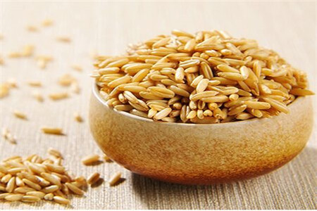 燕麦可以减肥吗，燕麦的具体功效