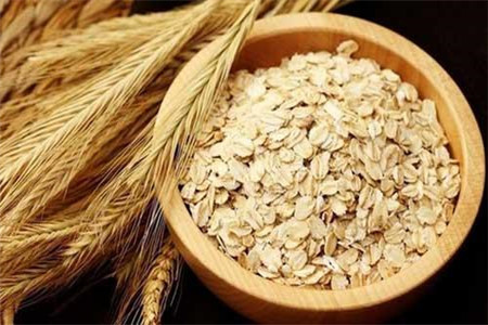 燕麦可以减肥吗，燕麦的具体功效