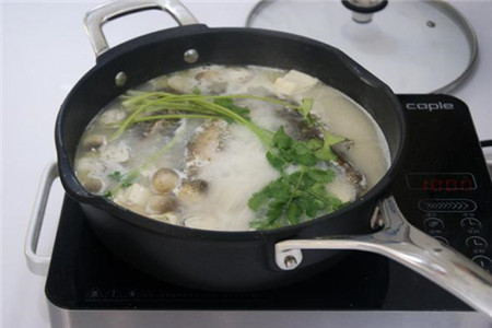 鲫鱼豆腐汤的做法推荐，热水炖鱼好吃又不腥