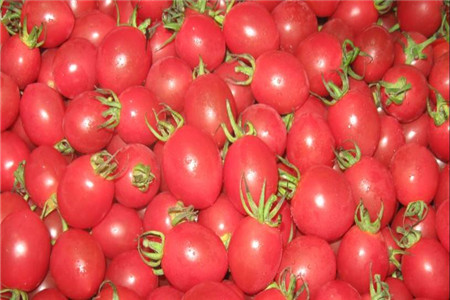小番茄美白保肝，孕妇能吃小番茄吗