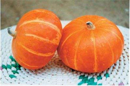 胃炎吃什么食物好