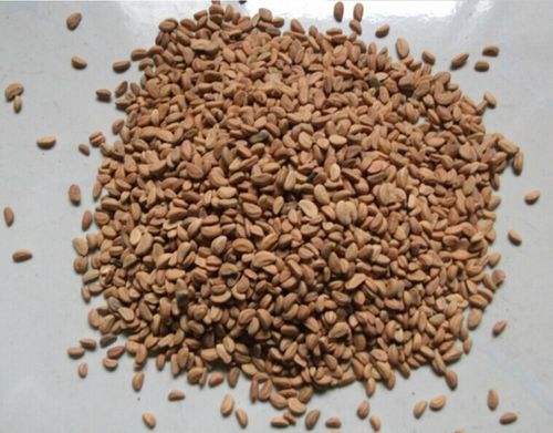 女性失眠多梦是怎么回事 如何治疗女性失眠多梦 女性失眠多梦是怎么回事 如何治疗女性失眠多梦