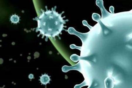 新型肺炎最新消息