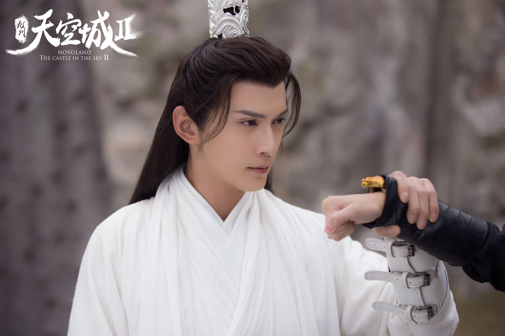 徐正溪 高冷夫子.jpg