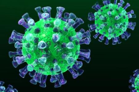 新冠病毒
