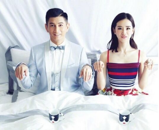 吴奇隆刘诗诗宣布怀孕 网友猜测可能是做试管婴儿了