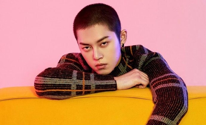 谢彬彬为什么不火